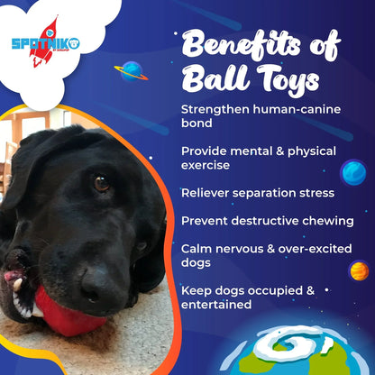 SodaPup® Asteroid Chew & Ball Toy