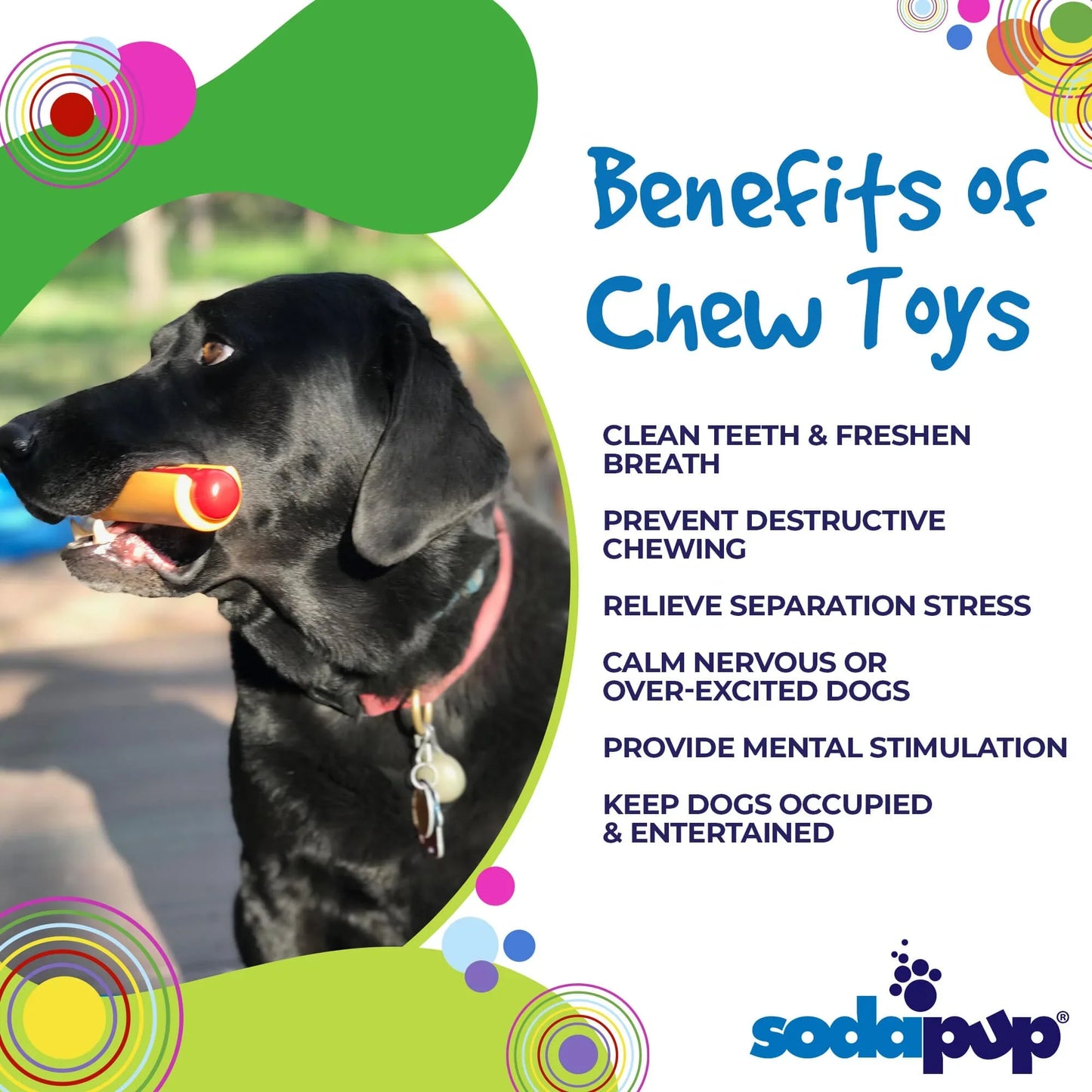 SodaPup® Hot Dog Nylon Chew Toy