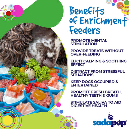 SodaPup® Mandala Enrichment Tray