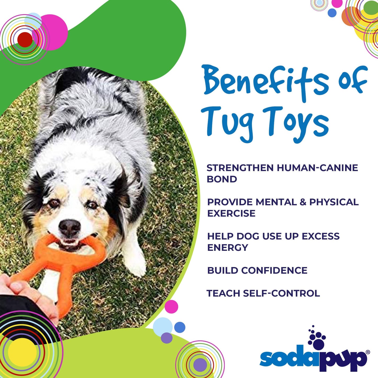 SodaPup® "Pop Top" Tug Toy