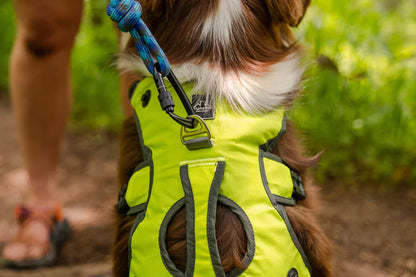 Alpha Pak® Adventurer EZ Latch™ Dog Pack (2-Piece)