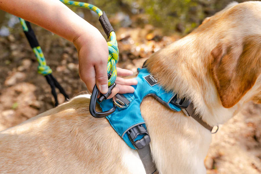 Alpha Pak® Alpine 10MM Kernmantle Rope Leash