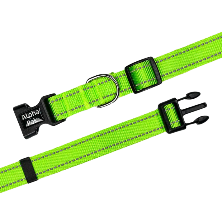 Alpha Pak® Kiwi Green Reflective Dog Collar