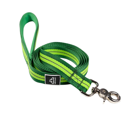 Alpha Pak® Kiwi Green Reflective Dog Leash