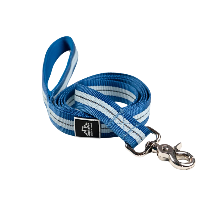 Alpha Pak® Jazz Blue Reflective Dog Leash