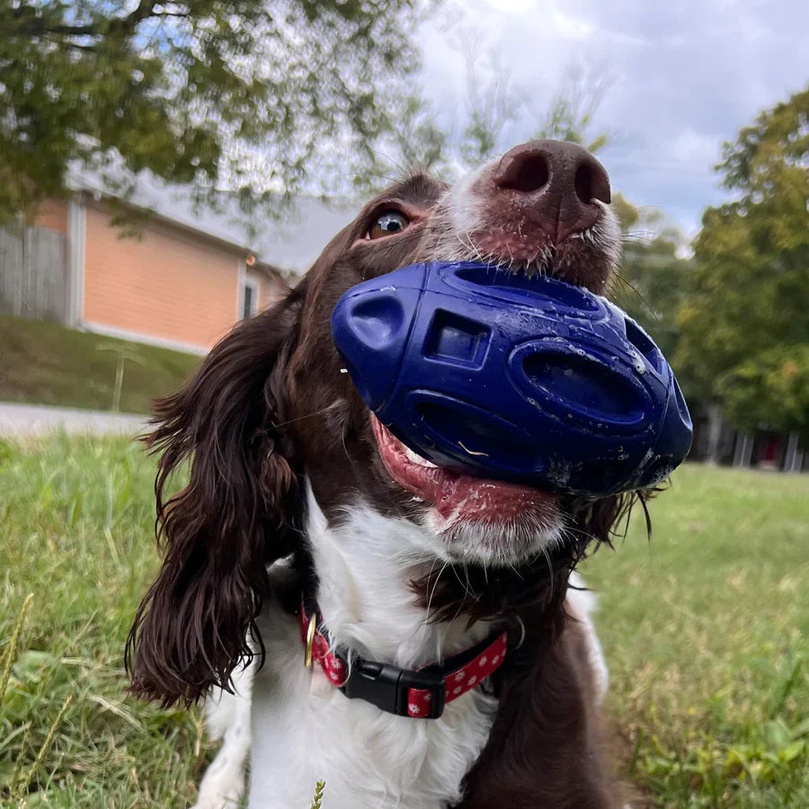 Alpha Pak® Chewie Squeak Rubber Football