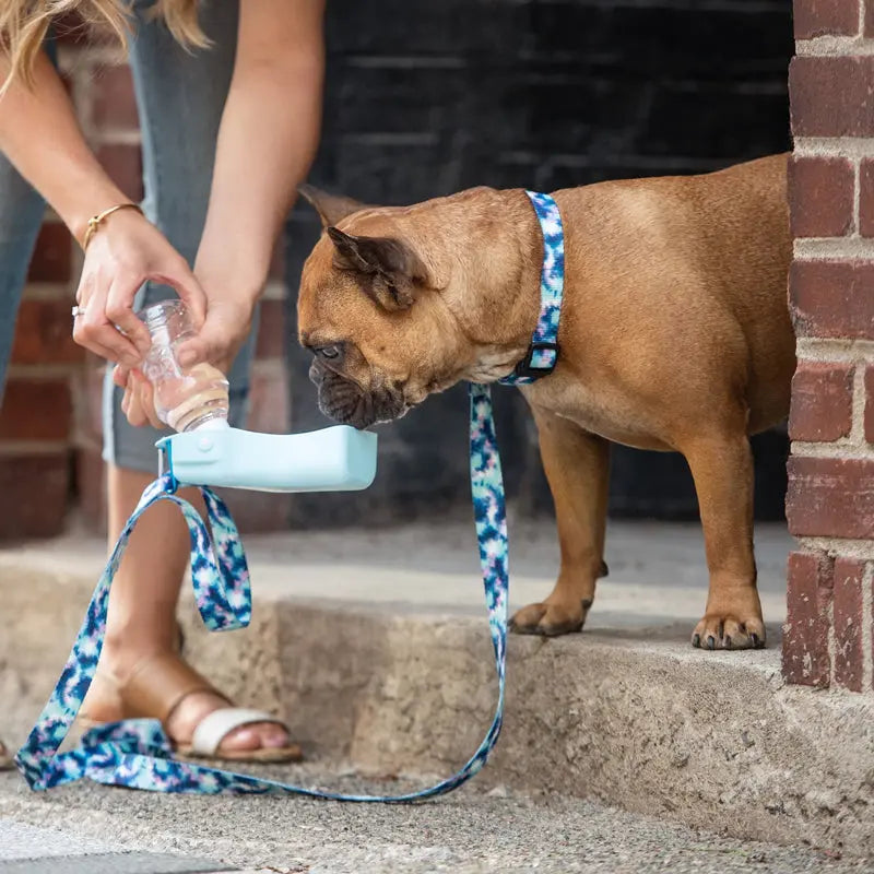 GF Pet® Collapsible Pet Water Bottle