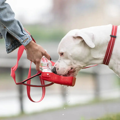 GF Pet® Collapsible Pet Water Bottle