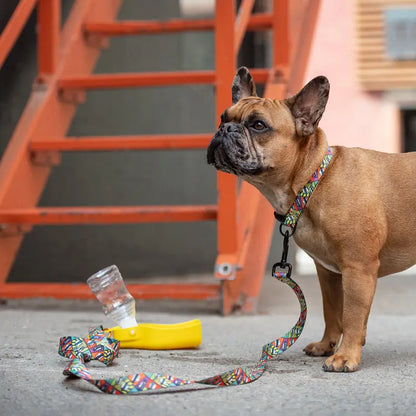 GF Pet® Collapsible Pet Water Bottle