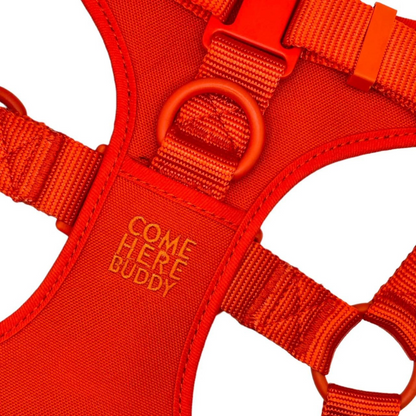 Come Here Buddy® Step-In Dog Harness