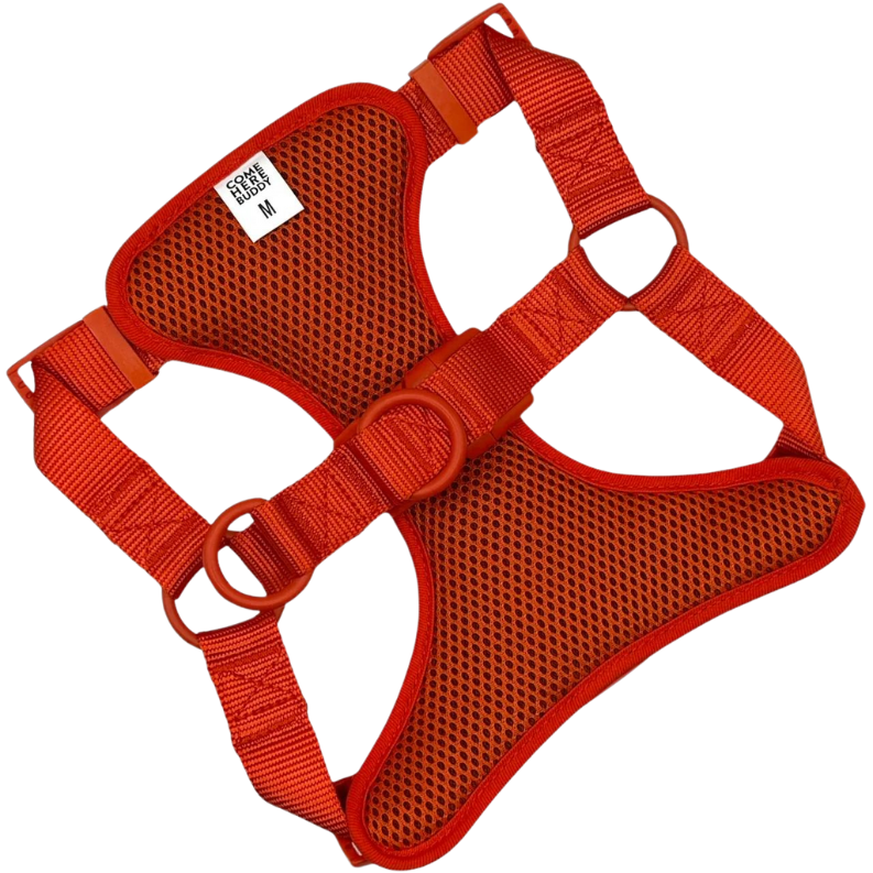 Come Here Buddy® Step-In Dog Harness