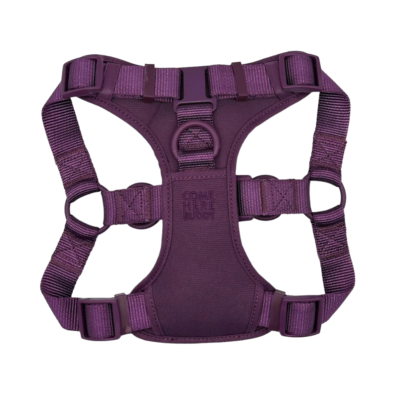 Come Here Buddy® Step-In Dog Harness