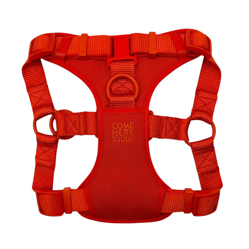 Come Here Buddy® Step-In Dog Harness