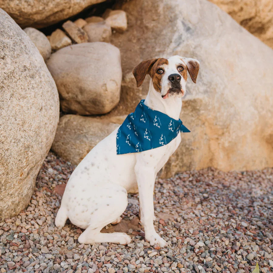 Alpha Pak® Logo Bandana