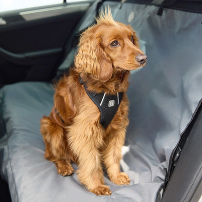 GF Pet® Travel Harness