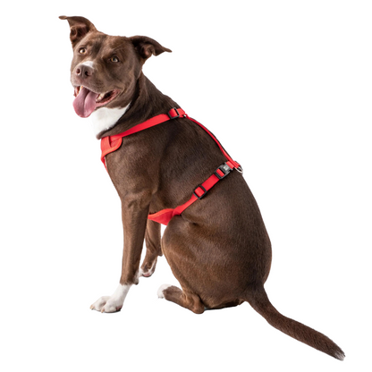 GF Pet® Travel Harness