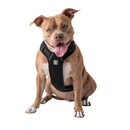 GF Pet® Travel Harness