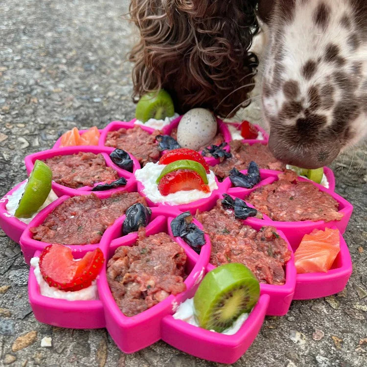 SodaPup® Mandala Enrichment Tray