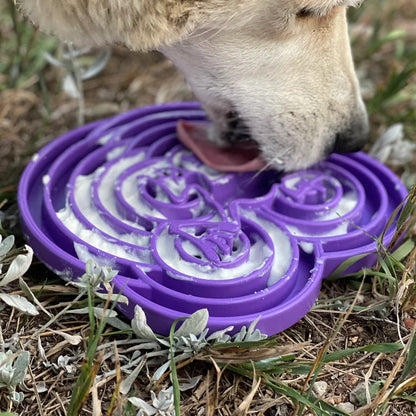 SodaPup® Water Frog Enrichment Tray