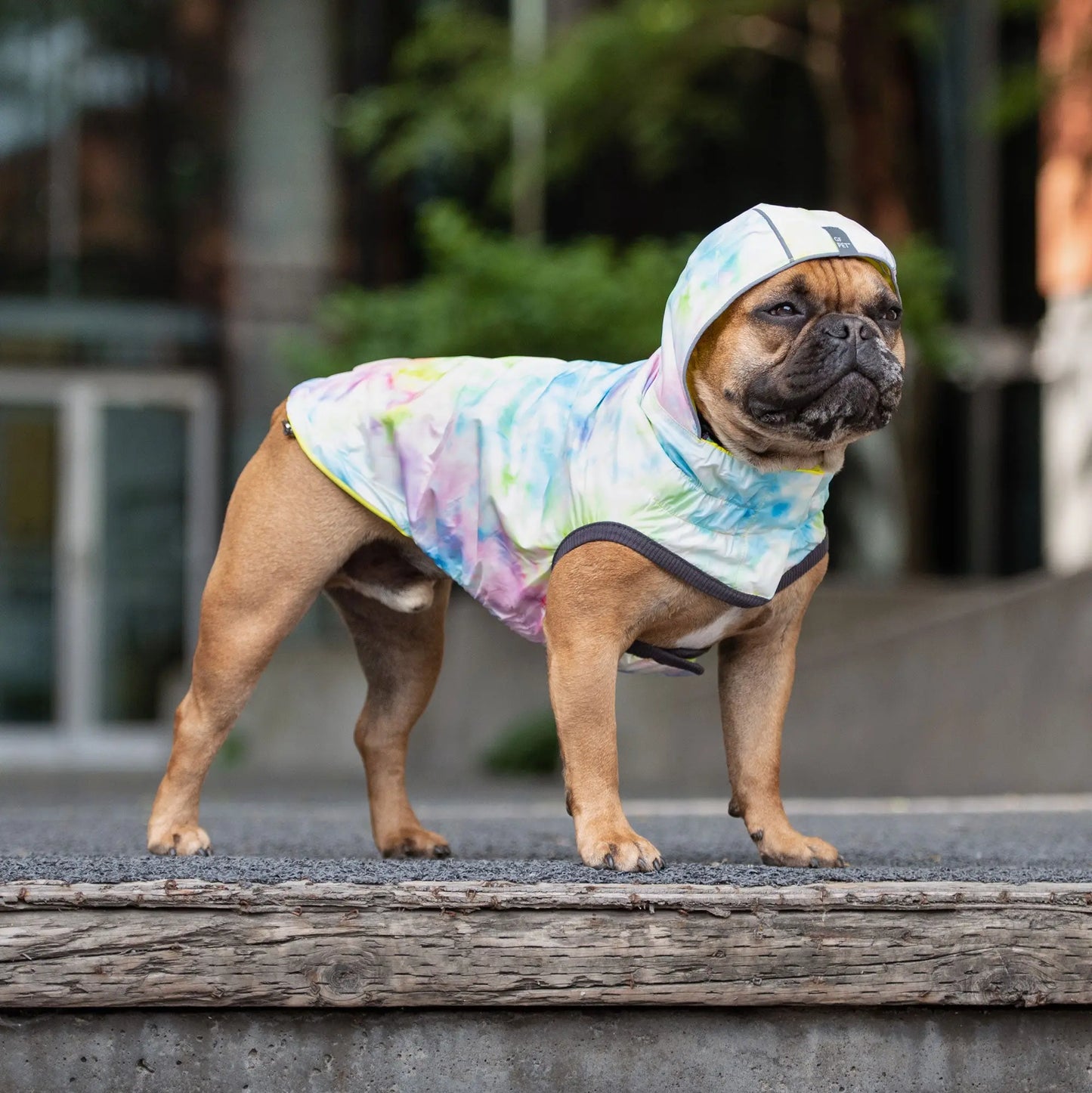 GF Pet® Neon Reversible Raincoat