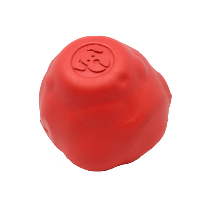 SodaPup® Asteroid Chew & Ball Toy