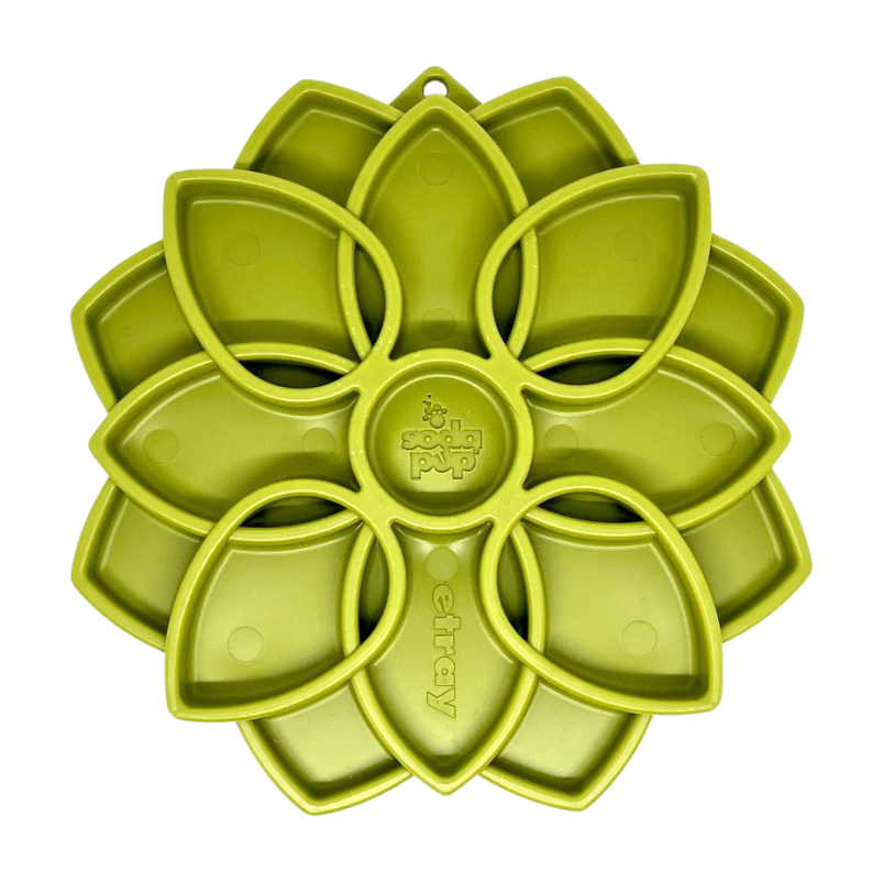 SodaPup® Mandala Enrichment Tray