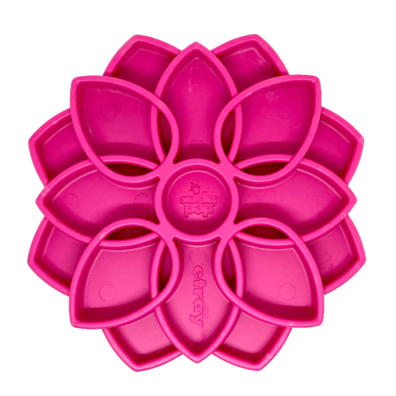 SodaPup® Mandala Enrichment Tray