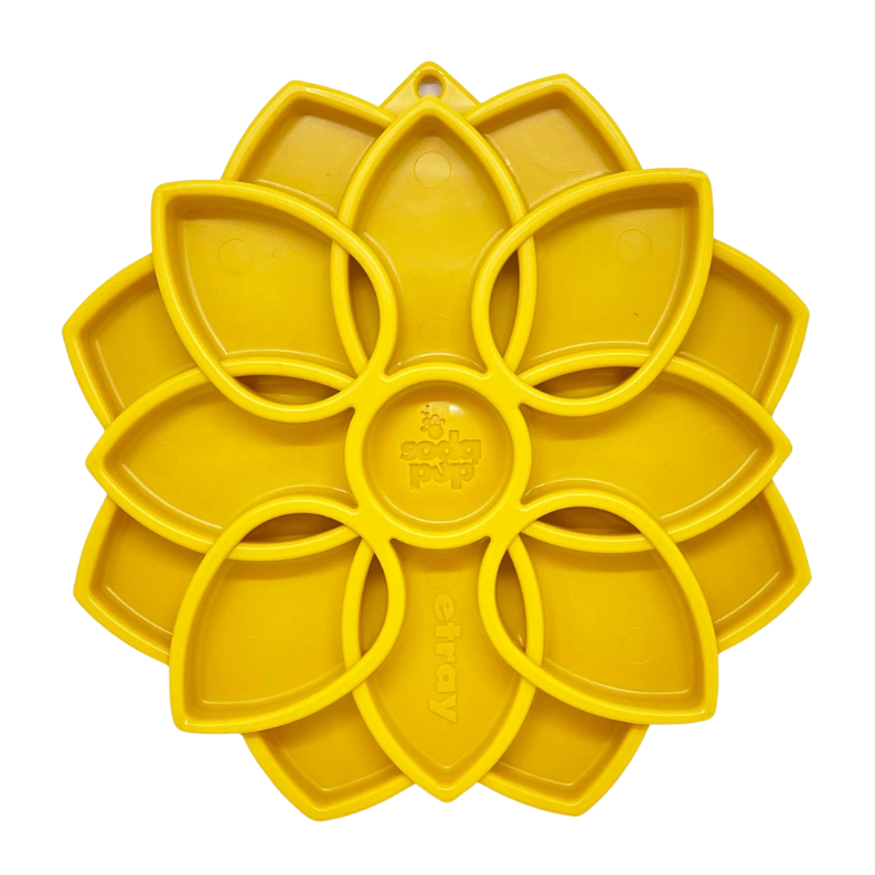 SodaPup® Mandala Enrichment Tray