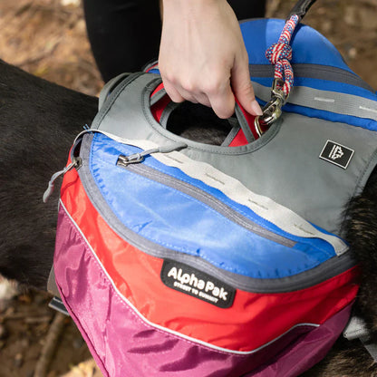 Alpha Pak® Adventurer EZ Latch™ Dog Pack (2-Piece)