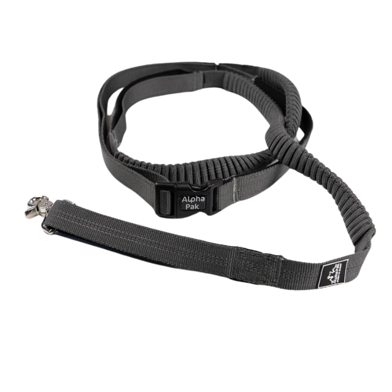 Alpha Pak® Stretchable Runner Dog Leash - Graphite