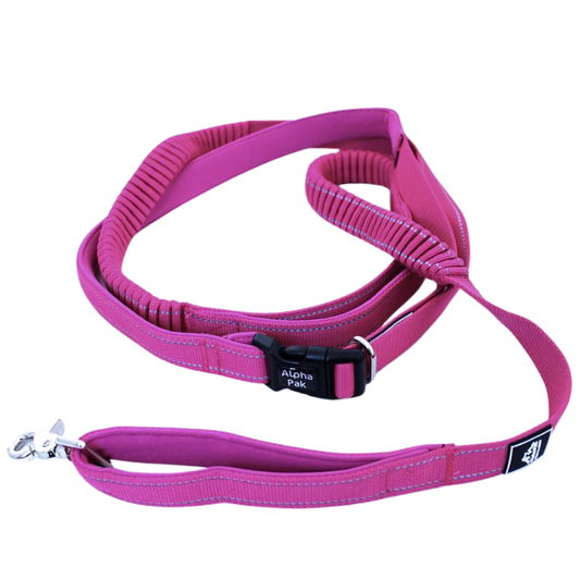 Alpha Pak® Stretchable Runner Dog Leash - Plum