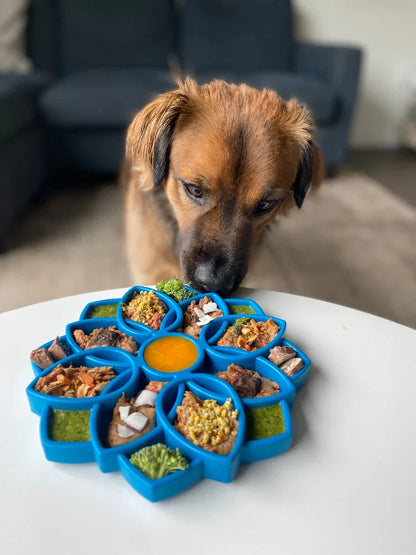 SodaPup® Mandala Enrichment Tray