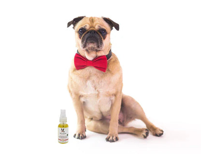 Warren London™ Grapeseed Oil Paw & Nose Revitalizer